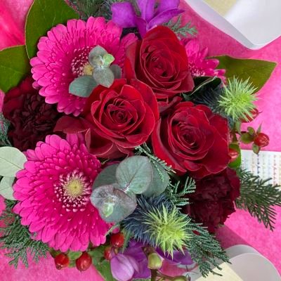 ebikotaka's profile picture. 地平線の向こう側