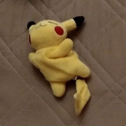 ❁もちふわポケモンだいすき娘4y❁　笑ってても泣いてても怒っててもかわいい　夫と実母がちょこちょこムカつく　第1子出産時❁子宮内反症/第2子妊娠中✮切迫早産自宅安静