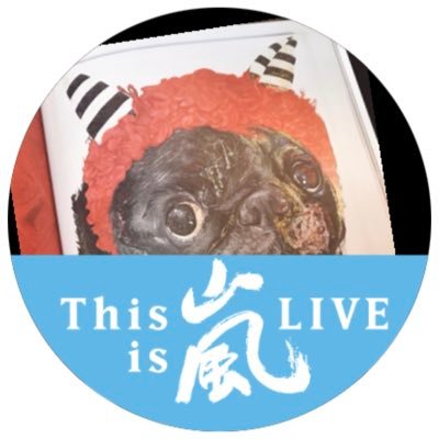 osuke3694's profile picture. よさこい100大会まで現役貫くつもり。。。この思いには変わりありません。ほ様は卒業いたしました。 2020年はARASHIとともに❤️💛💚💙💜