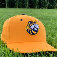 Burlington Bees (@burlingtonbees) 's Twitter Profile Photo Burlington Bees (@burlingtonbees) 's Twitter Profile Photo