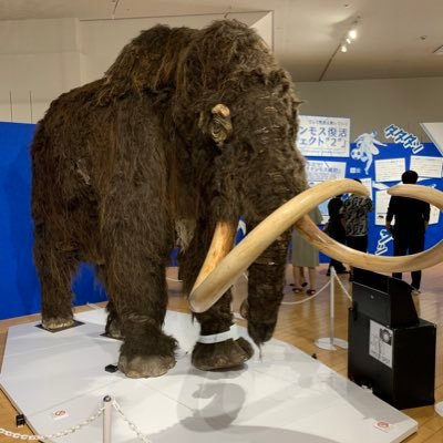 氷河期世代🥶S&P500とNASDAQ100積立しながら日米の高配当&株主優待を物色中😊年間配当金120万円&準富裕層達成💪なんちゃって雰囲気投資家😘