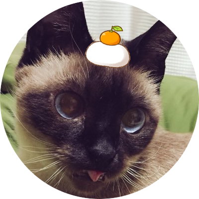 たんぼ 嬉しすぎて来てしまった めちゃくちゃ可愛いーーーーーーー ぬいぐるみ2つ買おう シャム猫あずきさんは世界の中心 たんぼ 嬉しすぎて来てしまった めちゃくちゃ可愛いーーーーーーー ぬいぐるみ2つ買おう シャム猫あずきさんは世界の中心