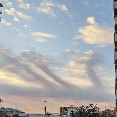 仕事したり、家事したり、最近はジム通ったりしてます。人生とか、人の心とか、まあ頭に浮かんだことをつぶやく時もあるかも