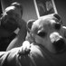 Bruce (@facehuggger) Twitter profile photo Bruce (@facehuggger) Twitter profile photo