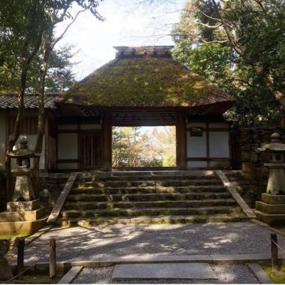 HUk_nam1644's profile picture. 北大の人。月に一度現れます。