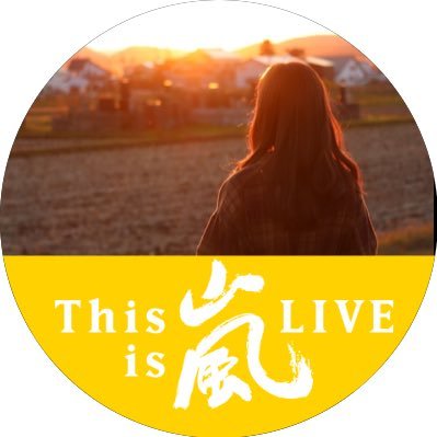 28歳/会社員/嵐ファン歴13年