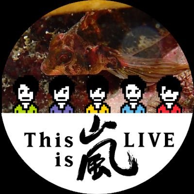 さわこ