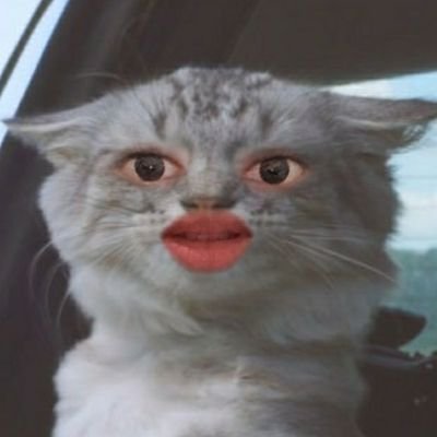 senggol bacot.