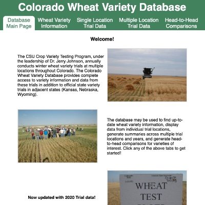 WheatTrials