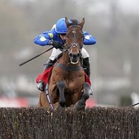 Meadowview Stables (@meadowviewstab) 's Twitter Profile