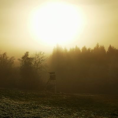 Familie, Natur, Beruf in Einklang bringen