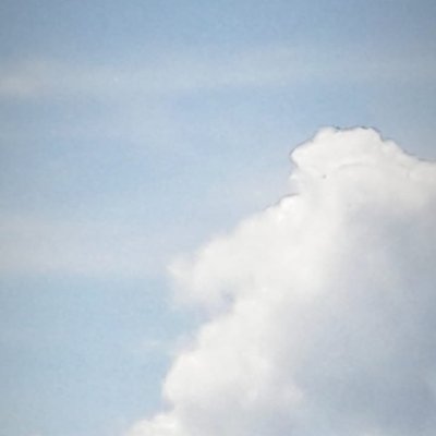 jarotketanireng's profile picture. 