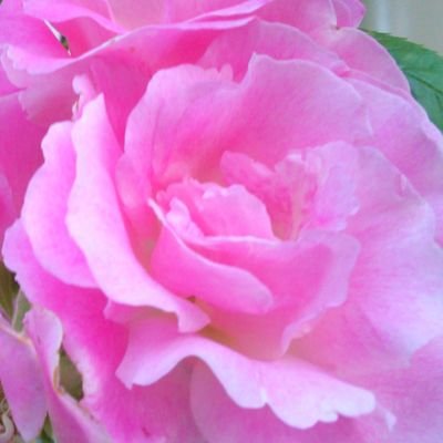 Rose20140808's profile picture. 虚言・隠蔽・改竄のない清い世の中へ☺️✨｡･｡♥｡･｡♥ 。✨
☝️💫✋️🍀🔫💀👍
悪党のゾンビ化を許すな😡
無能で有害な嘘つきが権力を持つの本当にやめて欲しい迷惑だから💢悪い事をした政治家は全員逮捕起訴されて実刑判決♥もしくは天罰☺️✨✝👼✝✨✌