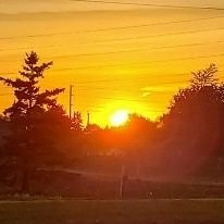 Tracey92887673's profile picture. Project Manager