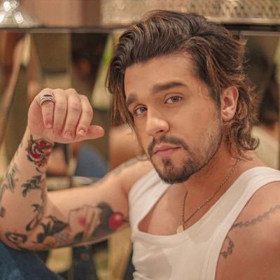 sempre foi e sempre será você @luansantana ♥️ • fan account