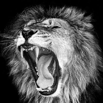 GymoMutale's profile picture. #Thug mansion home of peace 🙌🙌