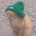 ☘️Tretze☘️ (@33tretze) Twitter profile photo ☘️Tretze☘️ (@33tretze) Twitter profile photo