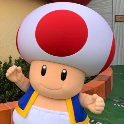 WideToad's profile picture. The same picture of Toad but everyday it gets 100 pixels wider. Doing this until I get tired or forget. Parody account.