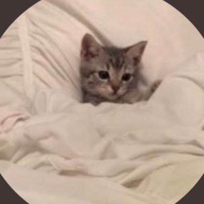 azah_A_A's profile picture. M.D.| We are each other's destiny. 🤍 | اللهم ارحم منيرة البيدان. | وأنا على عهدك ووعدك ما استطعت.