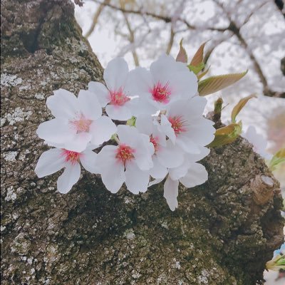 kr_chse_ex's profile picture. 20↑ 社会人 関東 2.5≧その他舞台・ミュージカル