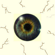 VeronicaLindddd's profile picture. Crazy about online gaming, will blog about diffrent sites I can find and short reviews in twitter.