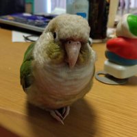 ゆみぞー (@uxqn1atc8auexro) 's Twitter Profile Photo