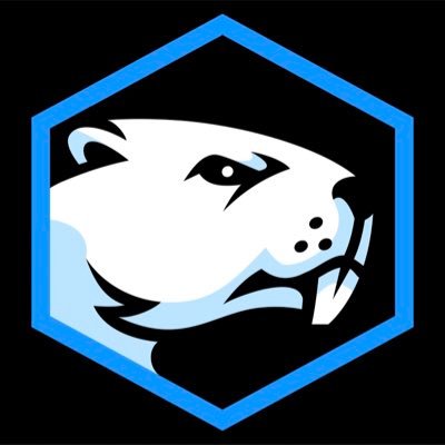 BattleBeaver Profile Picture