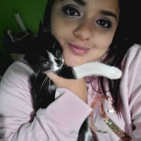 Gabriela (@gabriel86949471) 's Twitter Profile