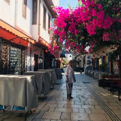 SabinaJusic3's profile picture. 