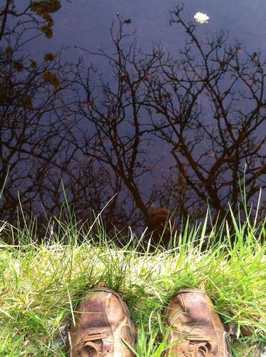 justkenrick's profile picture. Hope is Community lands from Forest peoples, Africa, to Portobello & Hebrides, Scotland. Economic Growth/ Liveable Earth - delete as applicable.