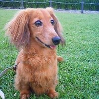 たな (@tabatha0526) Twitter profile photo