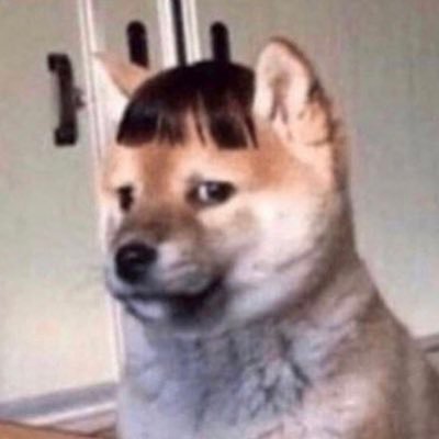 Diaさんのプロフィール画像