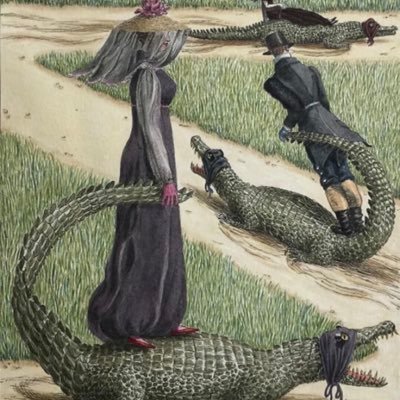 AliZGator1's profile picture. I tweet for my own gaze