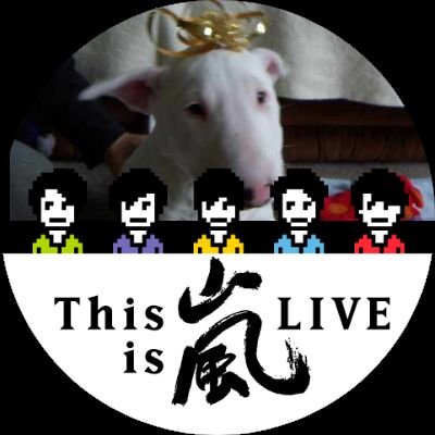 5人で嵐‼️
大ちゃん 翔ちゃん 相葉ちゃん ニノ 潤くん みんな大好き🎵
嵐応援アカウントです。フォローお願いします😆
SNSに不慣れですががんばって嵐を応援します‼️無言フォロー失礼します。