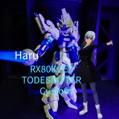 Haruサンさんのプロフィール画像