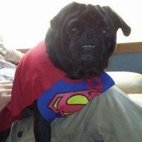 Terry Belfield ☮️ (@terrybelfield) 's Twitter Profile