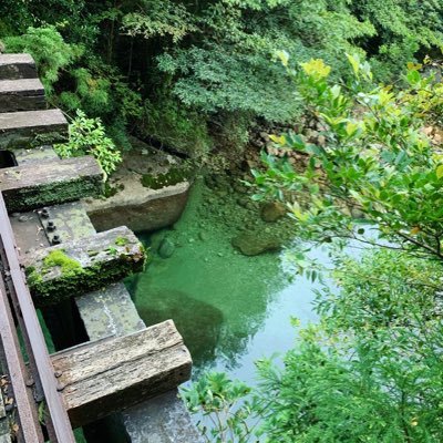 SHUNSUKE_hbb's profile picture. Humanbeatbox /筋トレ。Beatbox Battle七変化BEST16 JBC2014大阪予選BEST8 JBC2015東京、大阪予選BEST16