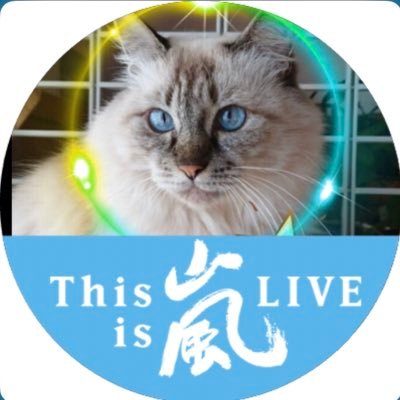 hasouです(´◡` )♩ SAINT Mxxxxxx × Kosuke Kawamura S/S TEE COMPLETE CONTRL SM