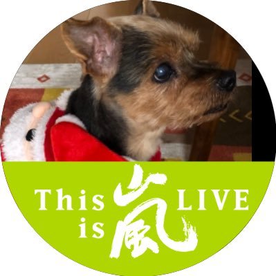 aoai81112391's profile picture. 