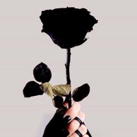 HADASHA ALMHAYLY (@almhaylyhdashh) 's Twitter Profile