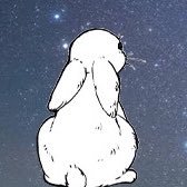 バニー•ムーンさんのプロフィール画像