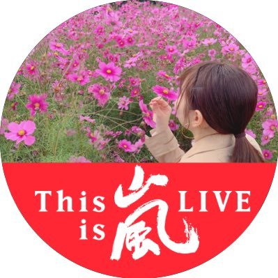ワクワク学校 ワクワク学校