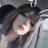 SweetBunnyFeet1's profile image