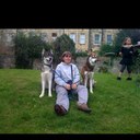 Tanya Read - @tan_badger - Twitter