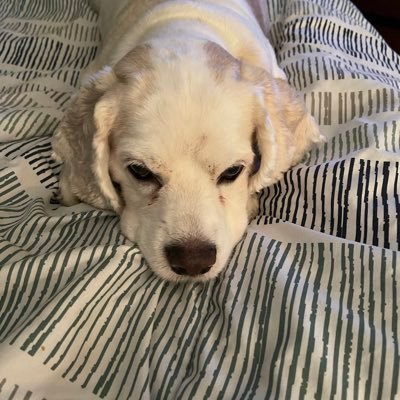 Jacqspurlock2's profile picture. Me