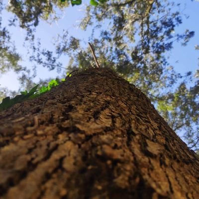 kkeyn49's profile picture. Team India. Arsenal. Chennaiyin FC.                 

    CS. Fullstack. Cloud engineer.