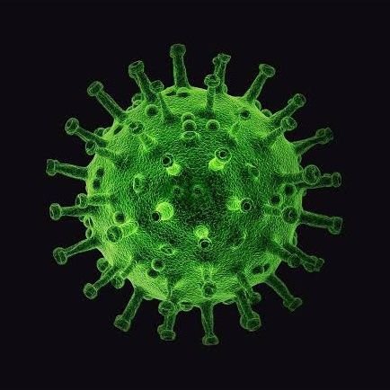 korona050's profile picture. 1312