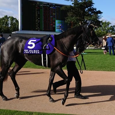 oAUjZkJZGE6UpmO's profile picture. 