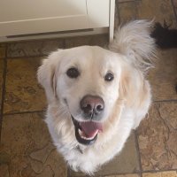 Natasha Hamilton-Tanner and Kalahari (Kali) (@natashakalikara) 's Twitter Profile Photo Natasha Hamilton-Tanner and Kalahari (Kali) (@natashakalikara) 's Twitter Profile Photo