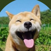 ローリスク投資、君の名はユウジ(@apegogo3) 's Twitter Profile Photo